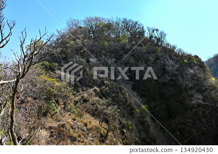 From Mount Horai (Mount Horai) in the Aitaka Mountains: The summit of Mount Horai in early spring From Mount Horai (Mount Horai) in the Aitaka Mountains: The summit of Mount Horai in early spring 134920430