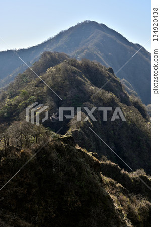From Mount Horai (Mount Horai) in the Aitaka mountain range: The ridgeline from Mount Nokogiri to Mount Ihai in early spring 134920438