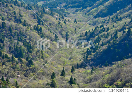 From the summit of Mount Horai in the Ashitaka mountain range, fresh greenery dots the mountain range From the summit of Mount Horai in the Ashitaka mountain range, fresh greenery dots the mountain range 134920441