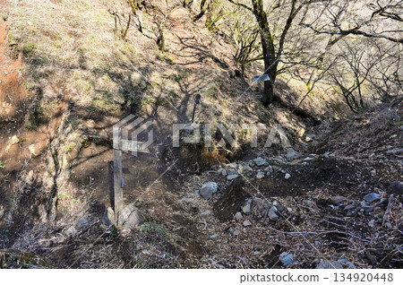 阿席達卡山脈，蓬萊山和呼吹山之間的鞍部，通往割石峠的山口公路，春季景色宜人。 134920448