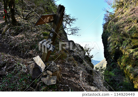 阿席達卡山脈，蓬萊山和呼吹山之間的鞍部，通往割石峠的山口公路，春季景色宜人。 134920449