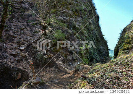 阿席達卡山脈，蓬萊山和呼吹山之間的鞍部，通往割石峠的山口公路，春季景色宜人。 134920451