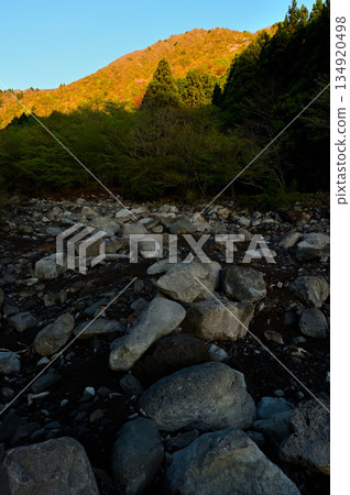 Mount Echizen in the Aitaka Mountains: Mount Echizen dyed in the morning glow and the Osawa River in Karasawa 134920498
