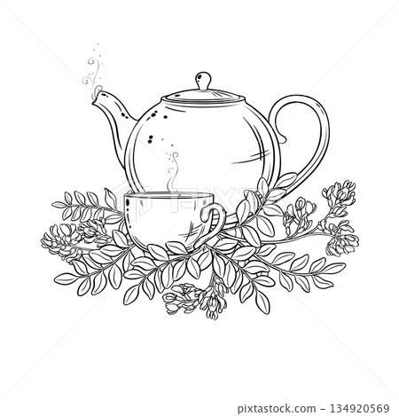 Astragalus Tea in Teapot Outline Illustration. Astragalus Tea in Teapot Outline Illustration. 134920569