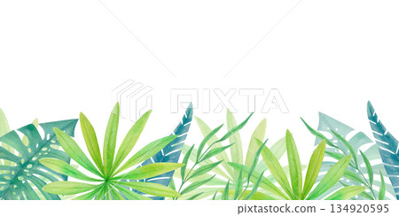 Watercolor tropical horizontal border with green jungle leaves isolated on white. Botanical summer clipart with rainforest foliage Watercolor tropical horizontal border with green jungle leaves isolated on white. Botanical summer clipart with rainforest foliage 134920595