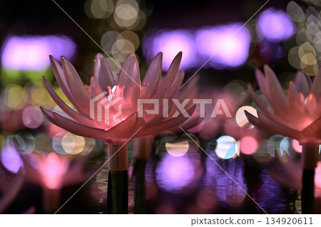 浮在水面上的睡蓮花 浮在水面上的睡蓮花 134920611