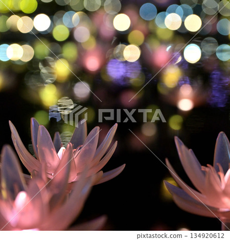 漂浮在水面上的花 134920612