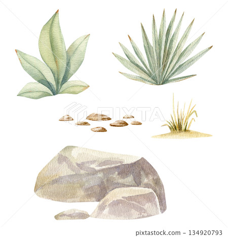 Watercolor Savannah and safari Elements Clipart Set. Stones, Grass, Leaves, Bushes Watercolor Savannah and safari Elements Clipart Set. Stones, Grass, Leaves, Bushes 134920793
