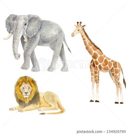 Watercolor Savannah Elements Clipart Set. Elephant, giraffe, Lion. African Wildlife Boho Fabric 134920795