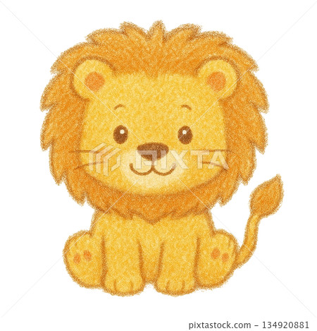 【動物】色鉛筆繪製的獅子插圖 134920881