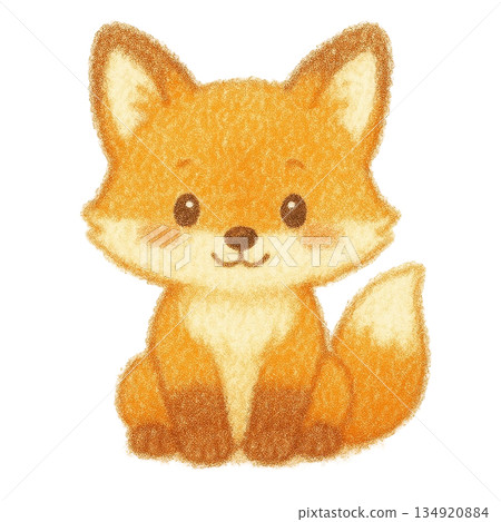 【動物】狐狸的彩色鉛筆插圖 134920884