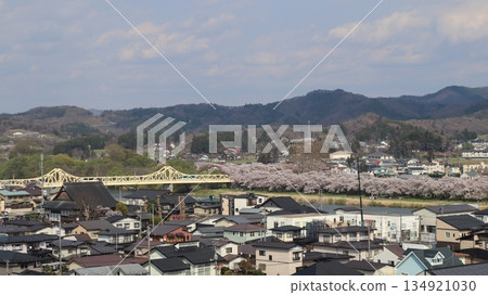 A view of the cherry blossom trees at Tenshochi Park in Kitakami City from above 134921030