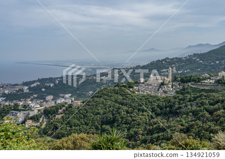 Aerial view Mountain Viewpoint of Bastia in the north of Corsica island - Genoese city overlooking the Mediterranean Sea 134921059