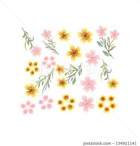 flower, botany, flower pattern loral, leaves, and flower collection flower, botany, flower pattern loral, leaves, and flower collection 134921141