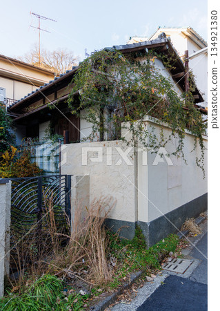 An old abandoned house swallowed up by vines An old abandoned house swallowed up by vines 134921380