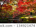 A garden decorated with colorful autumn leaves at Otaguro Park in Tokyo in autumn 134921474