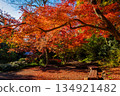Autumn scenery at Todoroki Fudoson Temple in Tokyo 134921482