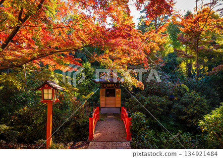 秋季，東京轟不動尊寺的弁天堂殿被秋葉環繞。 134921484