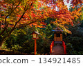 Bentendo Hall surrounded by autumn leaves at Todoroki Fudoson Temple in Tokyo in autumn 134921485
