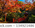 Bentendo Hall surrounded by autumn leaves and blue sky at Todoroki Fudoson Temple in Tokyo in autumn 134921486
