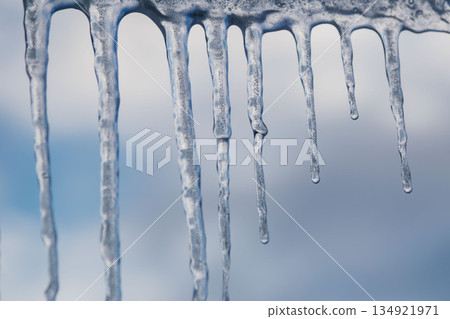 Winter icicles hanging against blue sky closeup 134921971