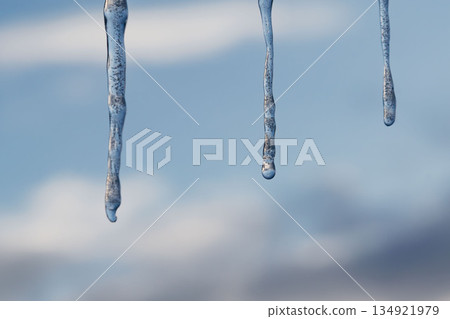 Winter icicles hanging against blue sky closeup 134921979