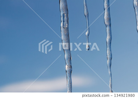 Winter icicles hanging against blue sky closeup 134921980
