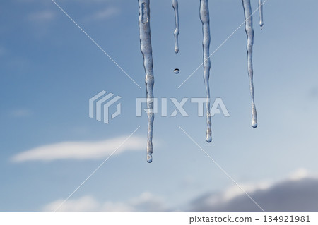 Melting icicles with falling water drop against blue winter sky 134921981