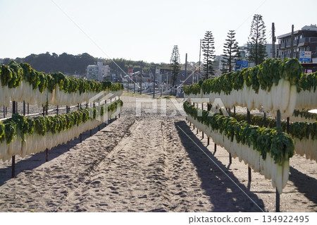 曬乾的蘿蔔① 134922495