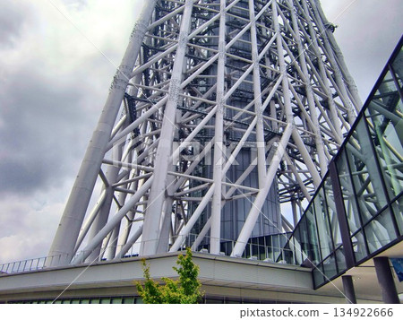 Skytree's framework-24 134922666