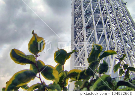 Skytree's framework-23 134922668