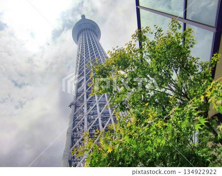 Tokyo Skytree on a cloudy day-152 Tokyo Skytree on a cloudy day-152 134922922