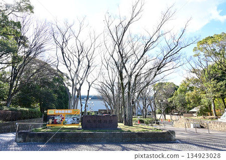 Sakai City Museum (Sakai City, Osaka Prefecture) Sakai City Museum (Sakai City, Osaka Prefecture) 134923028