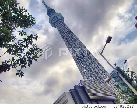 陰天的東京晴空塔-139 134923288