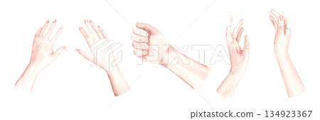Woman and Man Hands set. Watercolor hand gesture collection with open palm, fist and expressive poses. Perfect for romantic card, wedding design, love message, invitation and social media visuals. 134923367