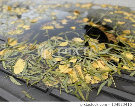 Fallen leaves in a puddle on the sidewalk 134923410