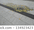 Fallen leaves in a puddle on the sidewalk 134923423