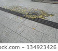 Fallen leaves in a puddle on the sidewalk 134923426