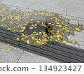 Fallen leaves in a puddle on the sidewalk 134923427