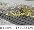 Fallen leaves in a puddle on the sidewalk 134923429