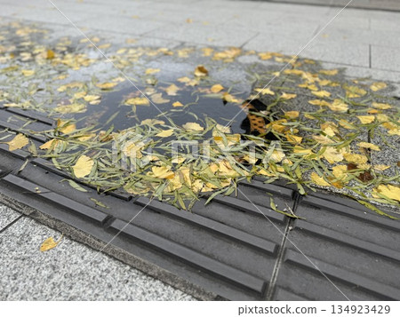 Fallen leaves in a puddle on the sidewalk 134923429