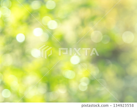 背景素材:波點倒影,綠色森林影像 背景素材:波點倒影,綠色森林影像 134923558