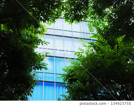 Scenery of Saitama New City (Saitama City, Saitama Prefecture) Scenery of Saitama New City (Saitama City, Saitama Prefecture) 134923758