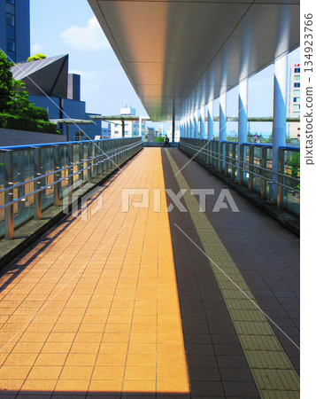 埼玉新城（埼玉縣埼玉市）的景色 134923766