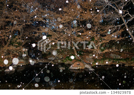 Snowy Japanese garden Snowy Japanese garden 134923978