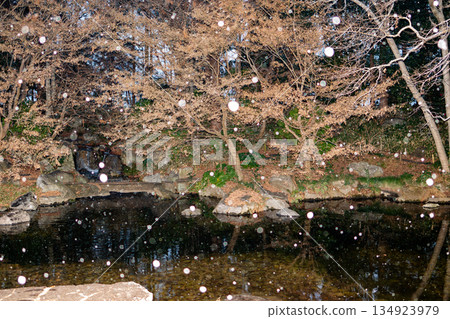 A snowing Japanese garden A snowing Japanese garden 134923979