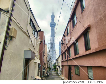 Tokyo Skytree on a cloudy day-116 Tokyo Skytree on a cloudy day-116 134923997
