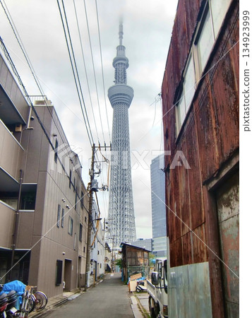 Tokyo Skytree on a cloudy day-118 Tokyo Skytree on a cloudy day-118 134923999