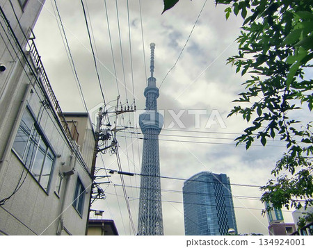 Tokyo Skytree on a cloudy day-120 Tokyo Skytree on a cloudy day-120 134924001