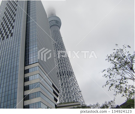 Tokyo Skytree on a cloudy day-103 Tokyo Skytree on a cloudy day-103 134924123